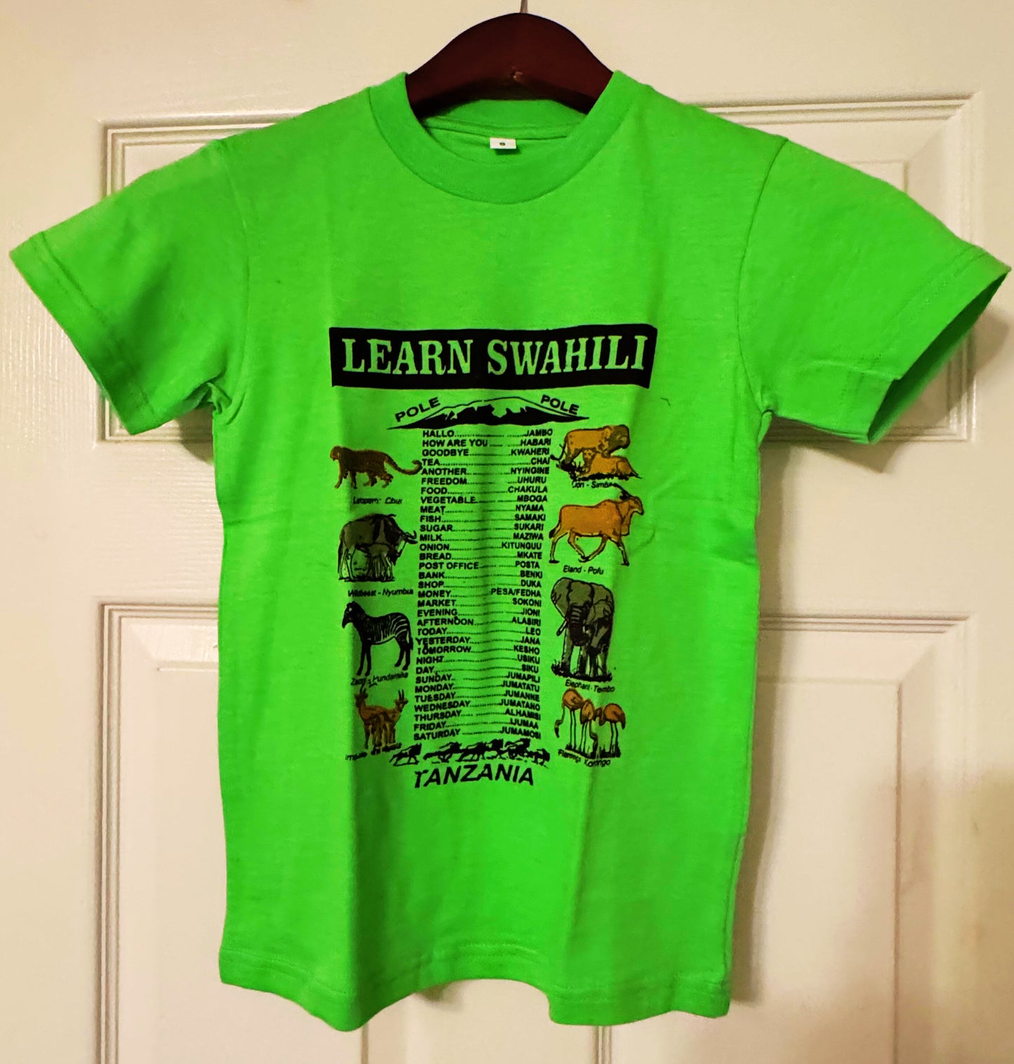 Unisex Safari Wildlife T-shirts (6 yrs) each different pattern
