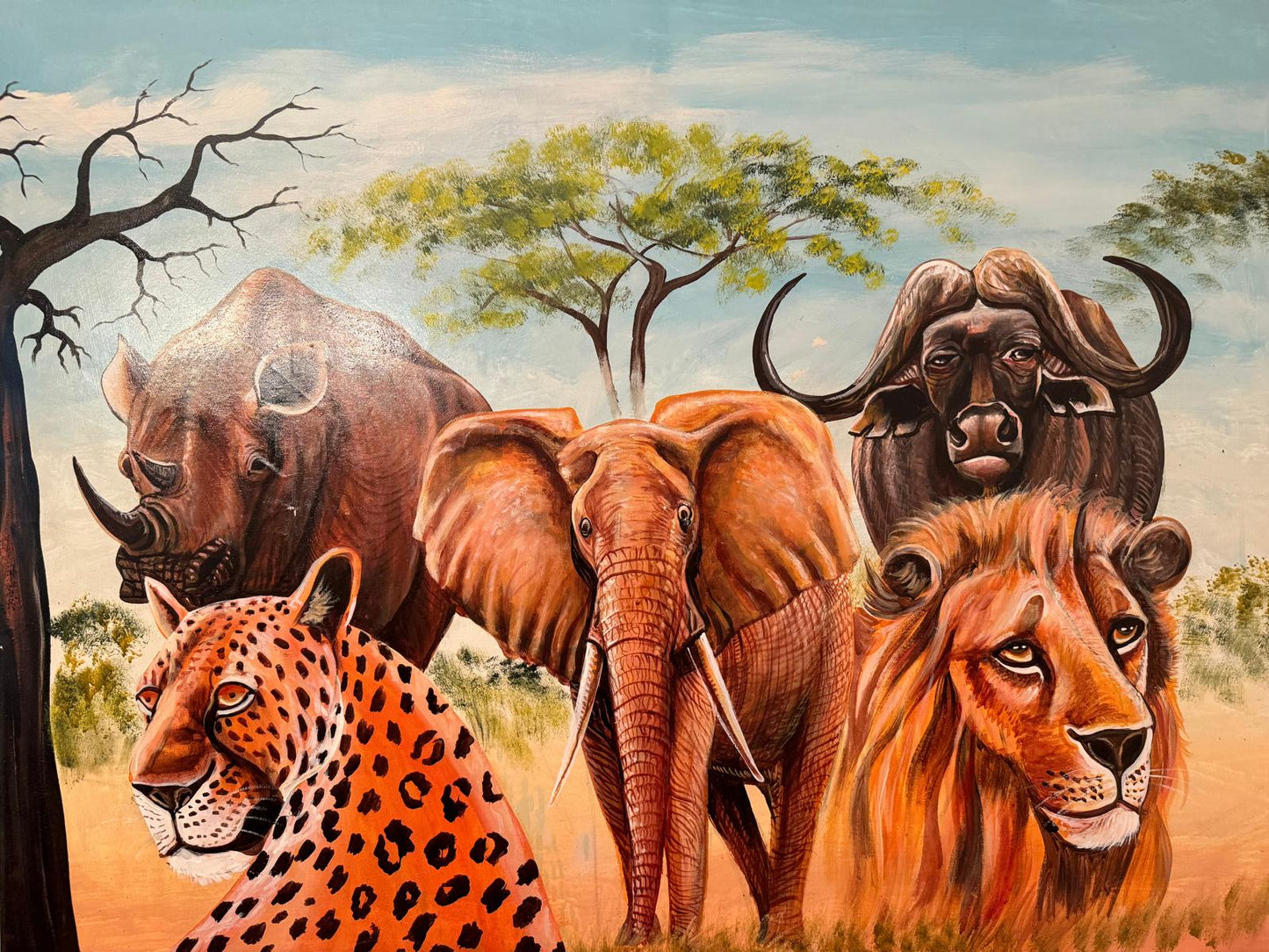 The big 5 - Lion, Elephant, Cape Buffalo, Leopard and Black Rhinoceros